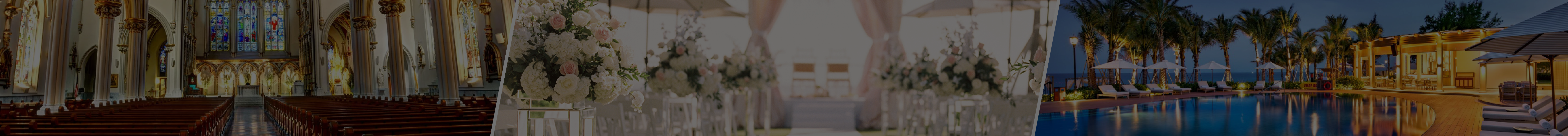 banner web 04