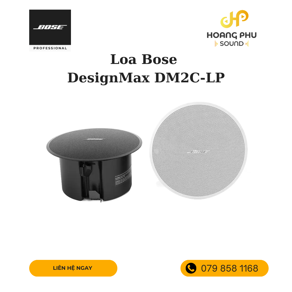 Bose DesignMax DM2C-LP