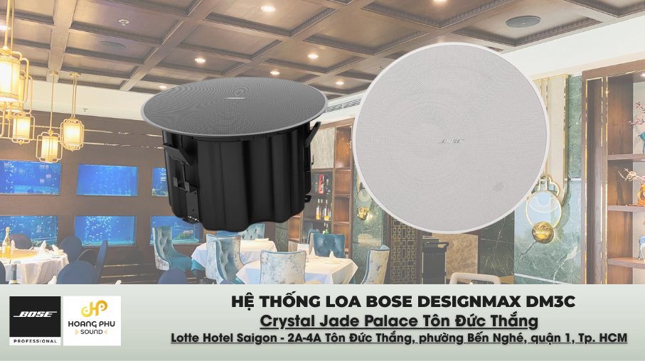 Loa Bose Designmax Dm3C hoang phu sound 1