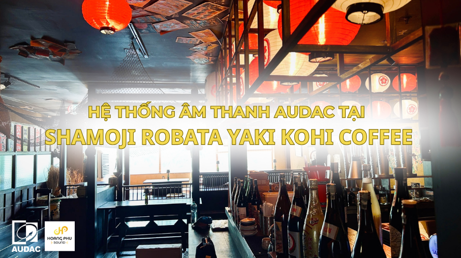 Loa-audac-ateo6m-hoang-phu-sound-9