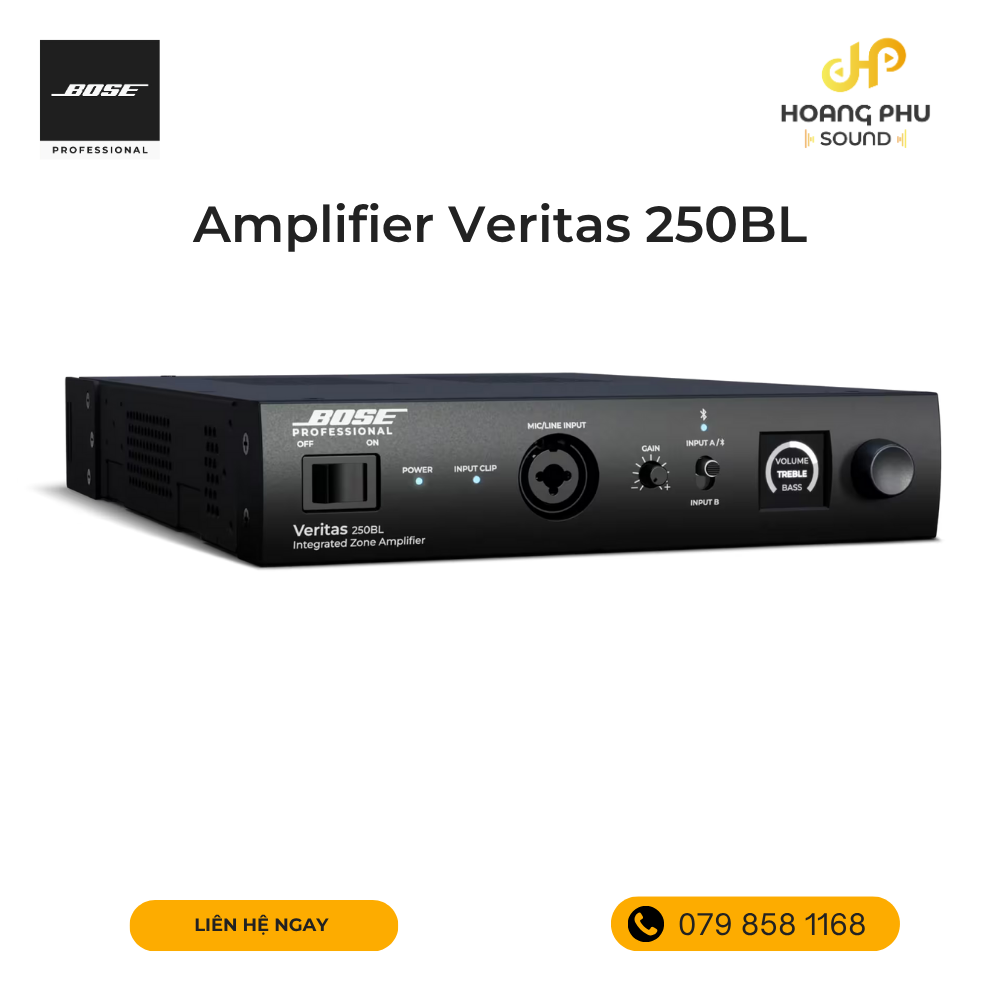 Amply Bose Veritas 250BL