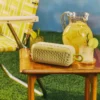 Loa Bose SoundLink Plus 16 SLPLE Citrus Product 0103